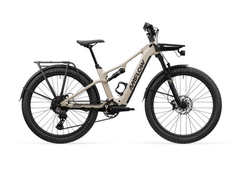 Amflow TL Carbon E Bike (DJI AVINOX)